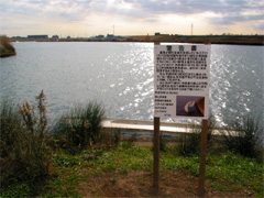 外付けストロボ